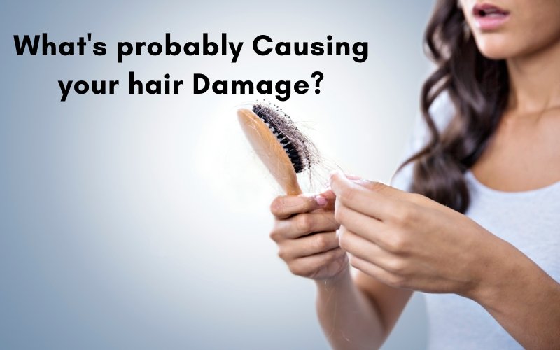 What causes Damage to Hair? - Blue Nectar Ayurved