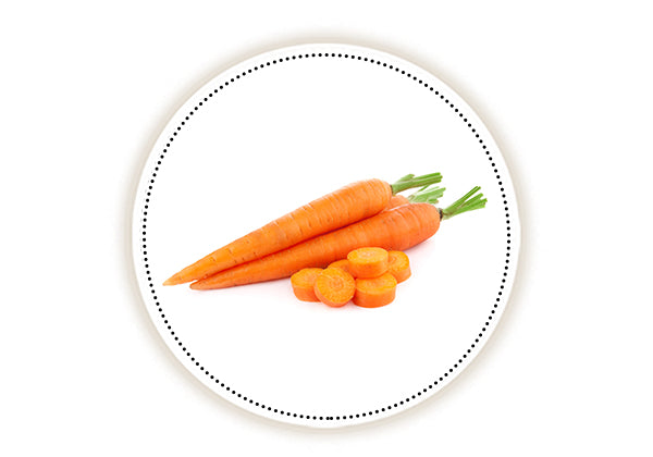 Benefits of carrot