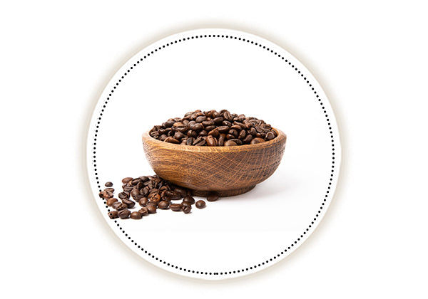 Coffee seed