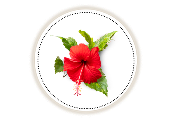 Hibiscus for Clearer Skin