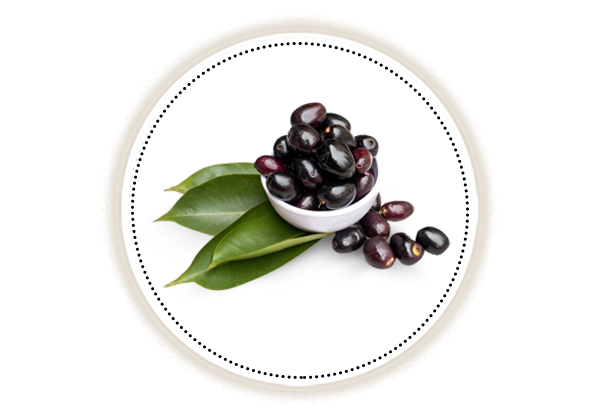 jamun