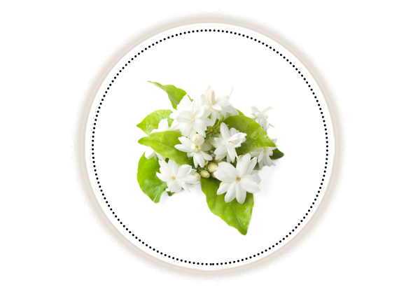 Jasmine aroma