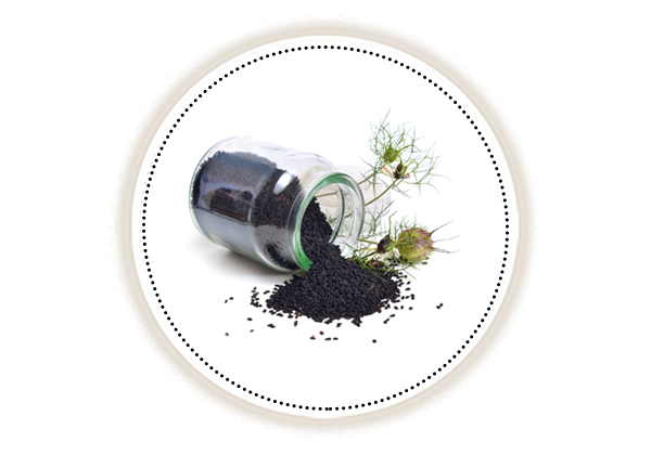 Kalonji Herb