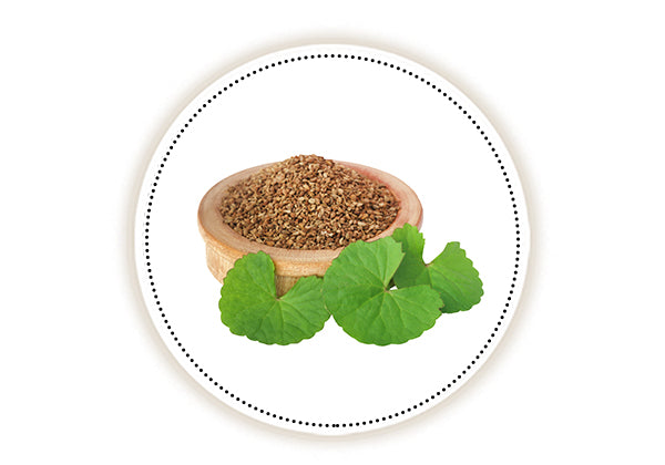 ajwain