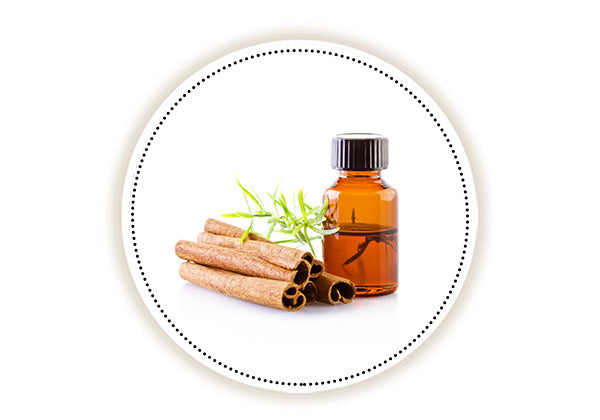 cinnamon oil